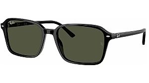 RAY-BAN Raimond RB2231 901/31