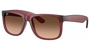 RAY-BAN Justin RB4165 6815A5