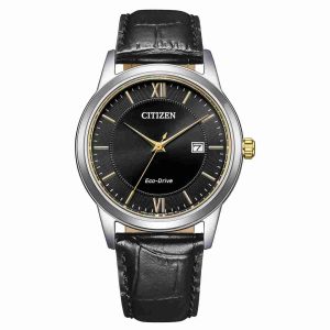 CITIZEN AW1784-16E