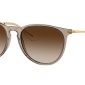 RAY-BAN Erika RB4171 67441