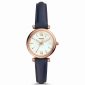 FOSSIL ES4502